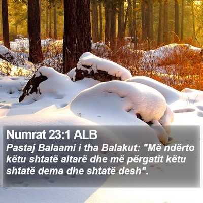 Numrat 23:1 ALB Bible Verse Image