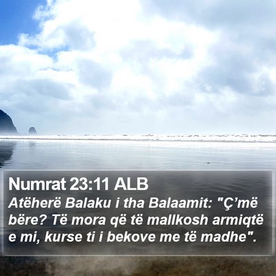 Numrat 23:11 ALB Bible Verse Image