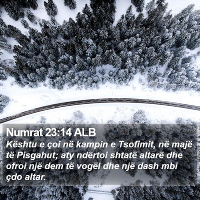 Numrat 23:14 ALB Bible Verse Image