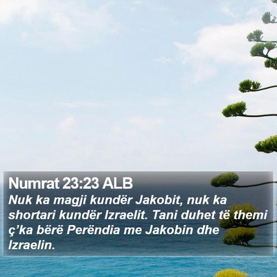 Numrat 23:23 ALB Bible Verse Image