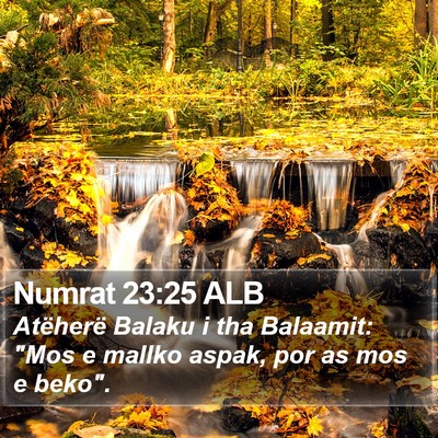 Numrat 23:25 ALB Bible Verse Image