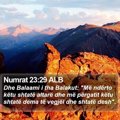 Numrat 23:29 ALB Bible Verse Image