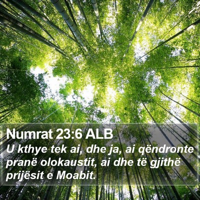 Numrat 23:6 ALB Bible Verse Image