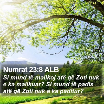 Numrat 23:8 ALB Bible Verse Image