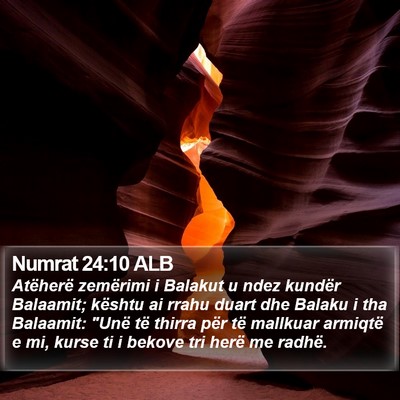 Numrat 24:10 ALB Bible Verse Image