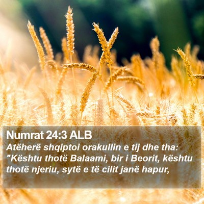 Numrat 24:3 ALB Bible Verse Image