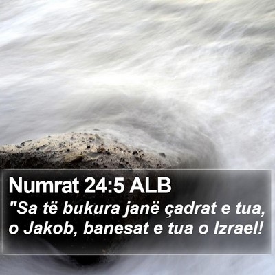 Numrat 24:5 ALB Bible Verse Image