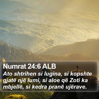 Numrat 24:6 ALB Bible Verse Image