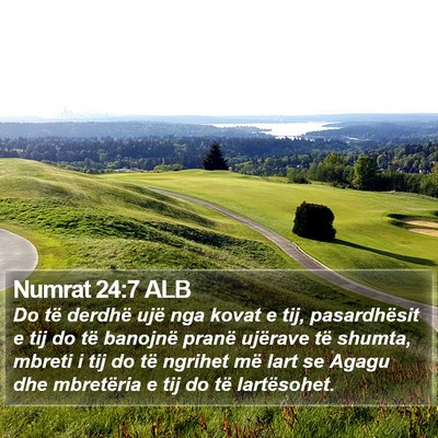 Numrat 24:7 ALB Bible Verse Image