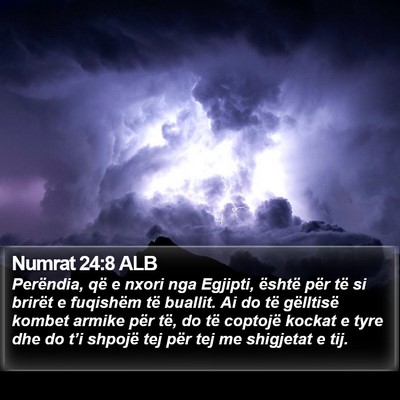 Numrat 24:8 ALB Bible Verse Image