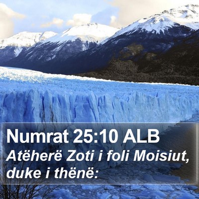 Numrat 25:10 ALB Bible Verse Image