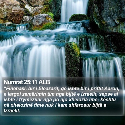 Numrat 25:11 ALB Bible Verse Image