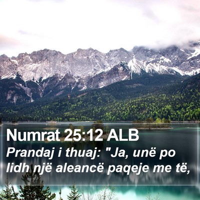 Numrat 25:12 ALB Bible Verse Image