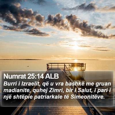 Numrat 25:14 ALB Bible Verse Image