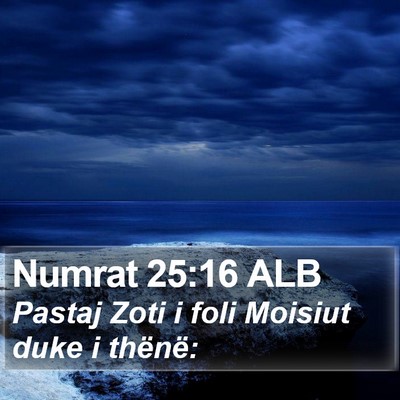 Numrat 25:16 ALB Bible Verse Image