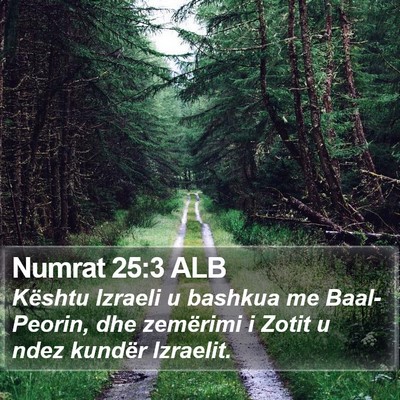 Numrat 25:3 ALB Bible Verse Image
