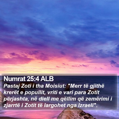 Numrat 25:4 ALB Bible Verse Image