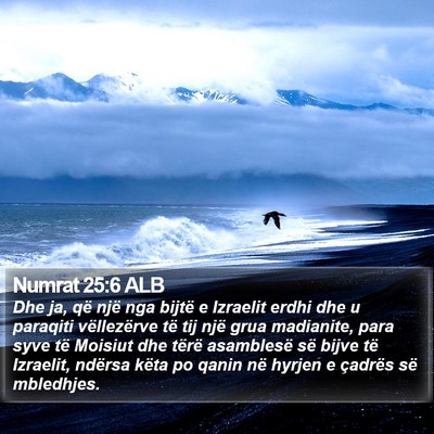 Numrat 25:6 ALB Bible Verse Image