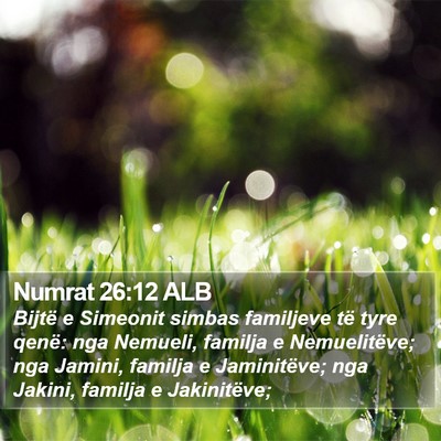 Numrat 26:12 ALB Bible Verse Image