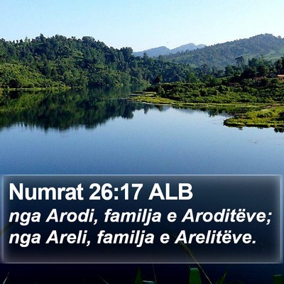 Numrat 26:17 ALB Bible Verse Image