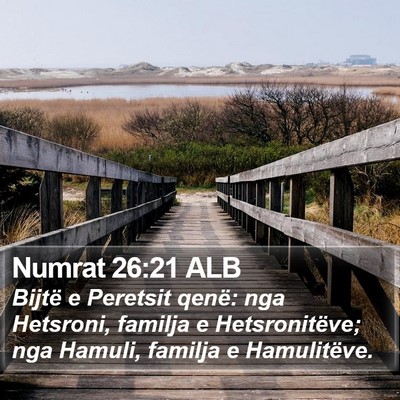 Numrat 26:21 ALB Bible Verse Image