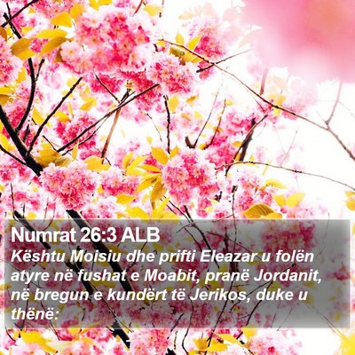 Numrat 26:3 ALB Bible Verse Image