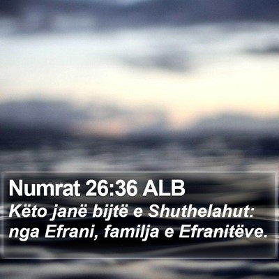 Numrat 26:36 ALB Bible Verse Image