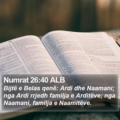 Numrat 26:40 ALB Bible Verse Image