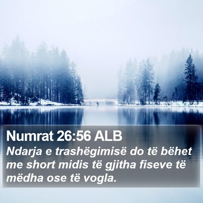 Numrat 26:56 ALB Bible Verse Image