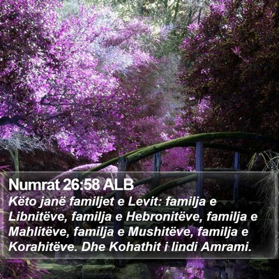 Numrat 26:58 ALB Bible Verse Image