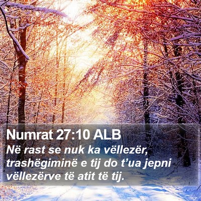 Numrat 27:10 ALB Bible Verse Image