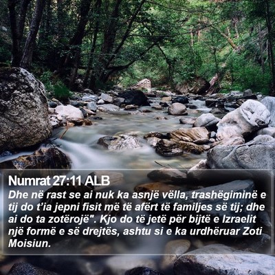 Numrat 27:11 ALB Bible Verse Image
