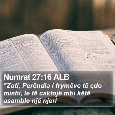 Numrat 27:16 ALB Bible Verse Image