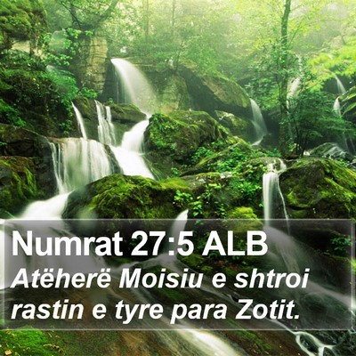 Numrat 27:5 ALB Bible Verse Image