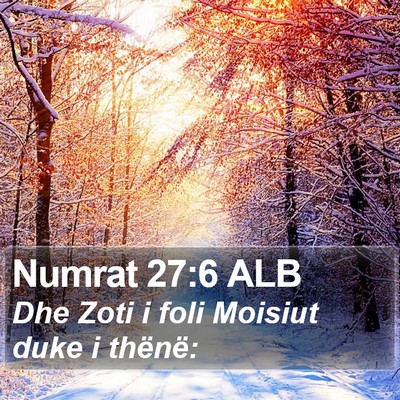 Numrat 27:6 ALB Bible Verse Image