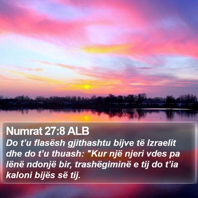 Numrat 27:8 ALB Bible Verse Image