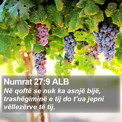 Numrat 27:9 ALB Bible Verse Image