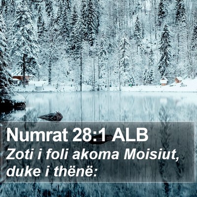 Numrat 28:1 ALB Bible Verse Image