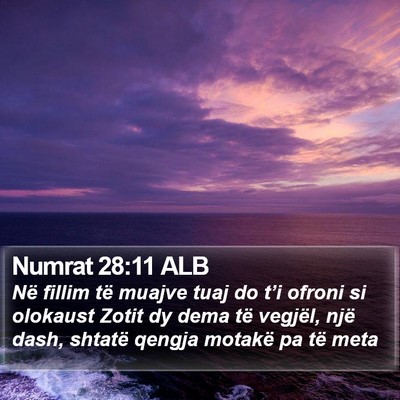 Numrat 28:11 ALB Bible Verse Image