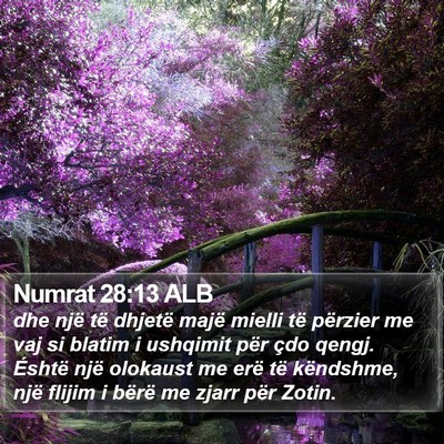 Numrat 28:13 ALB Bible Verse Image