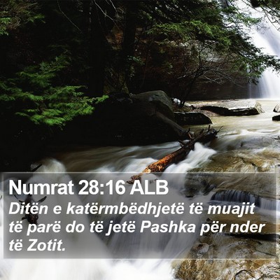 Numrat 28:16 ALB Bible Verse Image