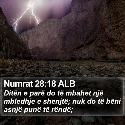 Numrat 28:18 ALB Bible Verse Image
