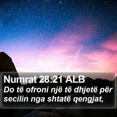 Numrat 28:21 ALB Bible Verse Image