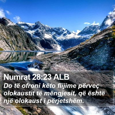 Numrat 28:23 ALB Bible Verse Image