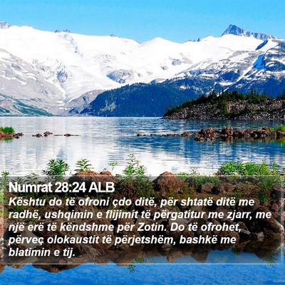 Numrat 28:24 ALB Bible Verse Image