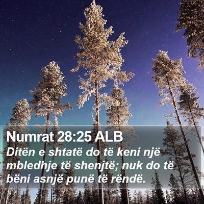 Numrat 28:25 ALB Bible Verse Image