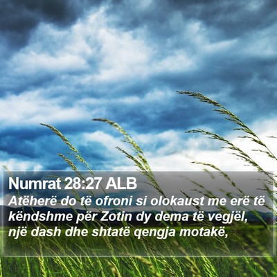 Numrat 28:27 ALB Bible Verse Image