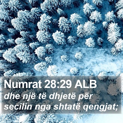 Numrat 28:29 ALB Bible Verse Image
