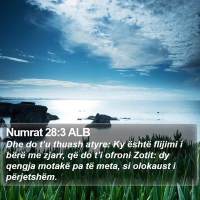 Numrat 28:3 ALB Bible Verse Image