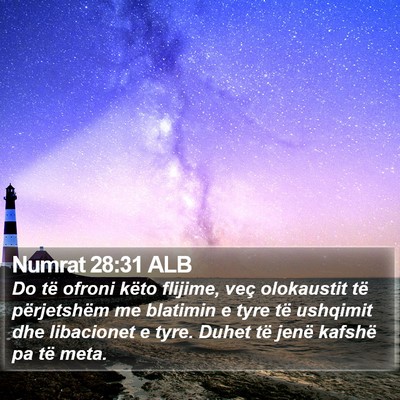 Numrat 28:31 ALB Bible Verse Image